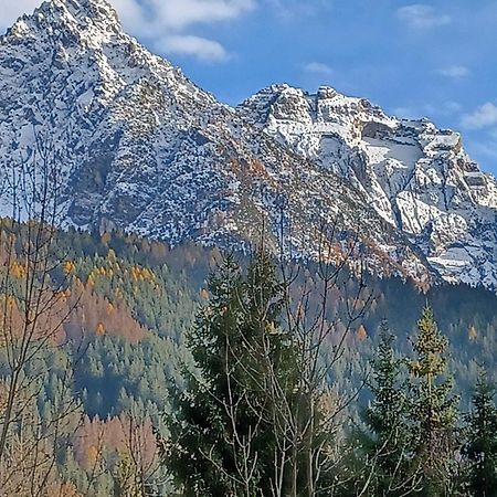 Locanda Da Pierina Santo Stefano Di Cadore Luaran gambar
